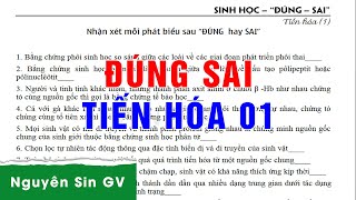 Tiến Hóa  Đúng Sai 01  Ôn thi Sinh THPT 2024 [upl. by Keyte]