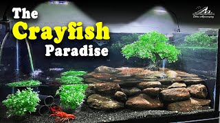 Creating Your Own Artificial Crayfish Habitat Easy Setup Guide [upl. by Uehttam]