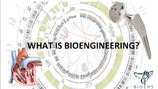 What is Bioengineering  BioEHS [upl. by Ellennad]