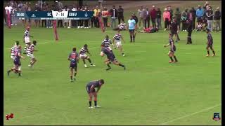 Grey College 1st VS Selborne College 1st 2024 Highlights [upl. by Notsirt523]