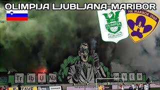 HooltrasTours  Olimpija Ljubljana  NK Maribor 10112024 Green Dragons Support [upl. by Janetta]