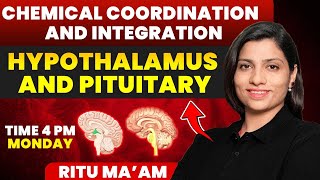 Hypothalamus and Pituitary  Chemical Coordination and Integration Detailed class  Ritu Rattewal [upl. by Graehme]