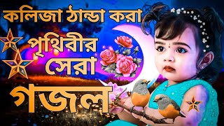 কলিজা ঠান্ডা করা সুরে পৃথিবীর সেরা গজল। New 2023 Bangla Gojol  SelimShikhon 2025 [upl. by Ielhsa]