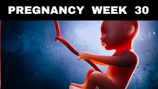 Pregnancy Week 30 Baby Development Symptoms amp Tips [upl. by Tnerual366]