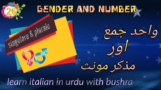 26 Singolare plurale maschile e femminile  learn italian in urdu [upl. by Tarrant]