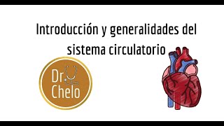 Sistema circulatorio introducción y generalidades [upl. by Akemit906]