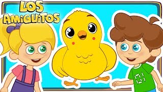 Pollito Amarillito Mix 🐥  Los Amiguitos Canciones Infantiles [upl. by Nilerual317]