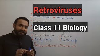 Retroviruses  Oncoviruses  RNA Tumor Viruses  Class 11 Biology [upl. by Henry]