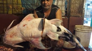 Dwarf Goonch Wallago amp Two Pangas Fish Cut Into Pieces in Fish Market By Fishmonger 2017 [upl. by Calderon]