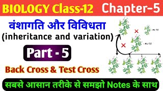 Biology class 12 ch 5  inheritance and variation  back cross test cross  test cross and backcross [upl. by Sebbie462]