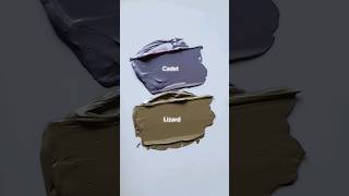 What colors does Paynes Grey make colormixing satisfying paintmixing shorts [upl. by Denyse]