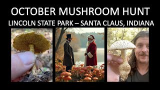 OCTOBER MUSHROOM HUNT Lincoln State Park  Santa Claus Indiana [upl. by Celine685]