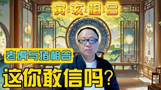 属猪的与属虎的相合，地支六合自然之理。 [upl. by Aes]