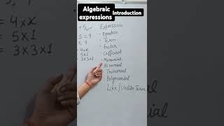 Algebraic Expressions introduction introduced of Algebraic expression [upl. by Kral]