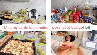 ORGANISATION  repas de la semaine petit budget 💶 Batch cooking [upl. by Linnell872]