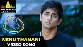 Oh My Friend Video Songs  Nenu Thaanani Video Song  Siddharth Shruti Hassan  Sri Balaji Video [upl. by Yukio]