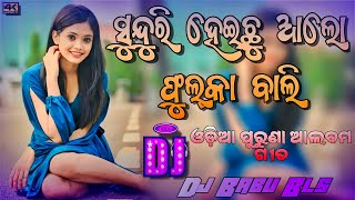 Sundari Heichu Alo Fulka Bali Dj Song  Sambalpuri Odia Dj Song  Dj Babu Bls [upl. by Ihc]