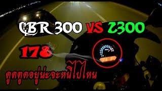 CBR300 VS Z300 V3 [upl. by Onilecram]