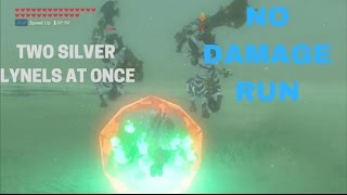 NO DAMAGE RUN  TWO SILVER LYNEL AT ONCE [upl. by Palecek]