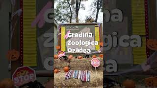 Gradina Zoologica Oradea [upl. by Eugeniusz]