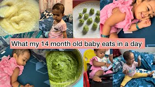 What My 14 month Old Baby Eats in a Day  Baby Food  Daily Routine [upl. by Ike]