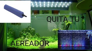 QUITA TU OXIGENADOR Y APRENDE A OXIGENAR TU ACUARIO DE LA MANERA MAS SENCILLA [upl. by Elok960]