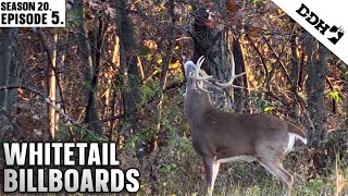 Whitetail Billboards  Deer amp Deer Hunting TV [upl. by Sinclare714]