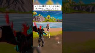 スカイを仲間にする噂はホンマなん？検証してみた！ フォートナイト fortnite 小技 小ネタ [upl. by Yendys]