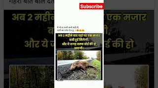 suar Ki Jamin suaro Ki how jayegi shorts vairalshort trending funnyshort youtubeshorts [upl. by Mosier]