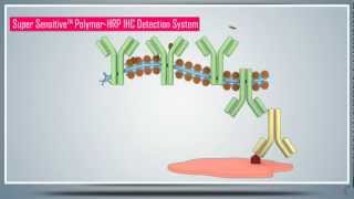 Immunohistochemistry IHC amp AntigenEpitope Protein Retrieval  Principle Technique and Protocol [upl. by Alyhs]