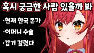 브이스포 최근 방송을 자주 못하고 있는 이유와 근황 네코타 츠나 [upl. by Kamerman]