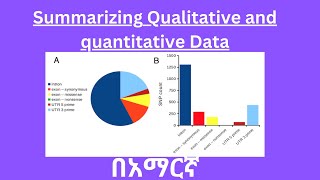 Summarizing qualitative and quantitative data  Basic Statistics  Business Statistic [upl. by Annaet]