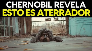 20 Cosas Más ATERRADORAS Encontradas En Chernobyl [upl. by Nire597]