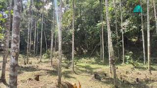 Property id 345  jayapura sringeri Lands for sale in Jayapura Sringeri sharvariconsultants [upl. by Ida27]