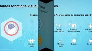 Comprendre lorthoptie les troubles visuels de lenfant et les conséquence sur les apprentissages [upl. by Kruter]