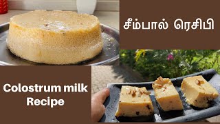 சீம்பால்  Colostrum milk pudding seempal recipe in tamil colostrum milk recipe mythili’skitchen [upl. by Dorinda]