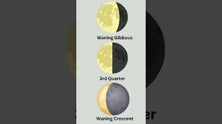 Learn the Moon Phases [upl. by Musa]