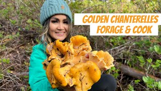 Wild Chanterelle Mushrooms Hunting in December  The Best Way to Cook Chanterelles  Forage amp Cook [upl. by Ikoek180]