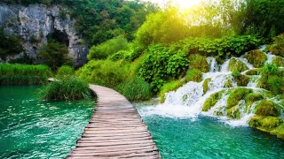 Plitvice Lakes National Park – Croatias Garden of Eden [upl. by Amlev989]