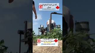 لراغبين في الهجرة الى كندا canada immigrationcanada [upl. by Otsuj142]