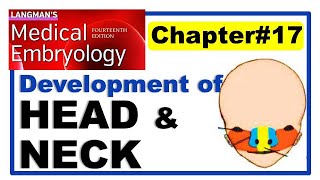 Langman Chapter17  Embryology of Head and Neck  Embryology  Dr Asif Lectures [upl. by Logan842]