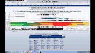 How to visualise chromatin and epigenetic data on the UCSC genome browser tutorial 4 [upl. by Canice]