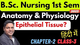 Epithelial Tissue in hindi  Anatomy amp Physiology  BSc Nursing 1st Sem [upl. by Sine301]