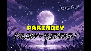 Parindey SlowedReverbB PraakAqsyy Lofi [upl. by Nivled385]