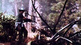 WILDFIRE  True Story of Firefighters vs Out of Control Forest Fire [upl. by Dedric]