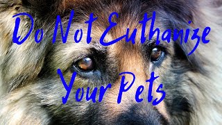 Do Not Euthanize Your Pets [upl. by Ronoel]