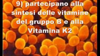 I Batteri Intestinali Amici della Salute [upl. by Tteve]