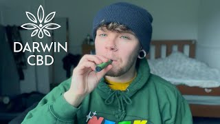 Lemon Drizzle Darwin CBD Vape Review [upl. by Anirual337]