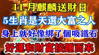 11月麒麟送財日！5生肖是天選大富之人，身上就好像綁了個吸鐵石，好運和財富接踵而來！運勢 風水 佛教 生肖 发财 横财 【佛之緣】 [upl. by Squire466]