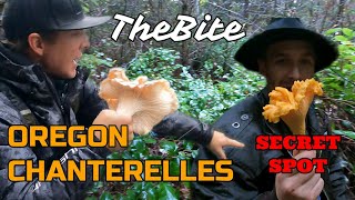 Oregon Chanterelle Hunting  The Golden Valley [upl. by Eniluqcaj]